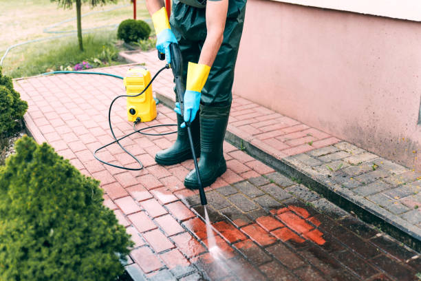 Best Affordable Power Washing  in Shawneeland, VA