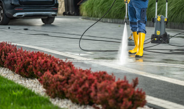 Deck Cleaning Services in Shawneeland, VA