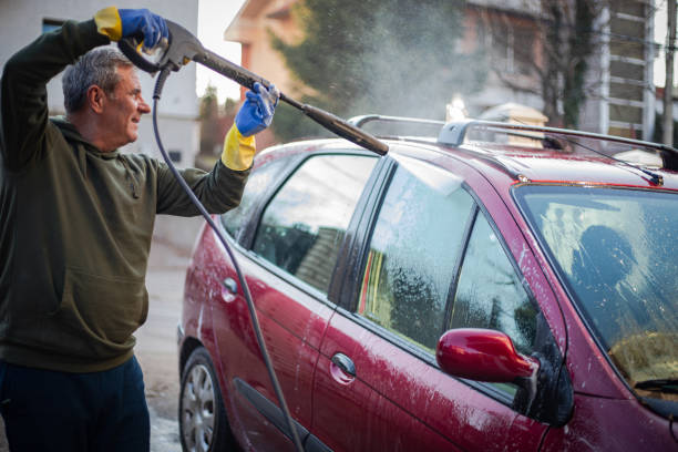 Best Roof Pressure Washing  in Shawneeland, VA